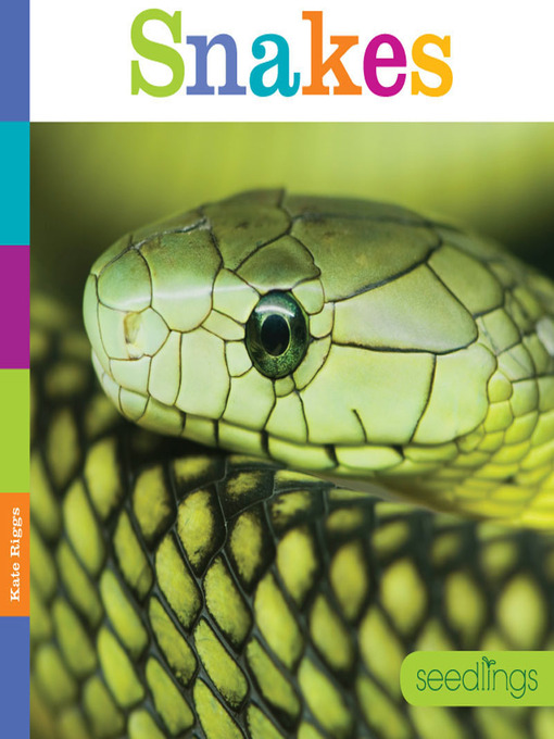 Title details for Snakes by Kate Riggs - Available